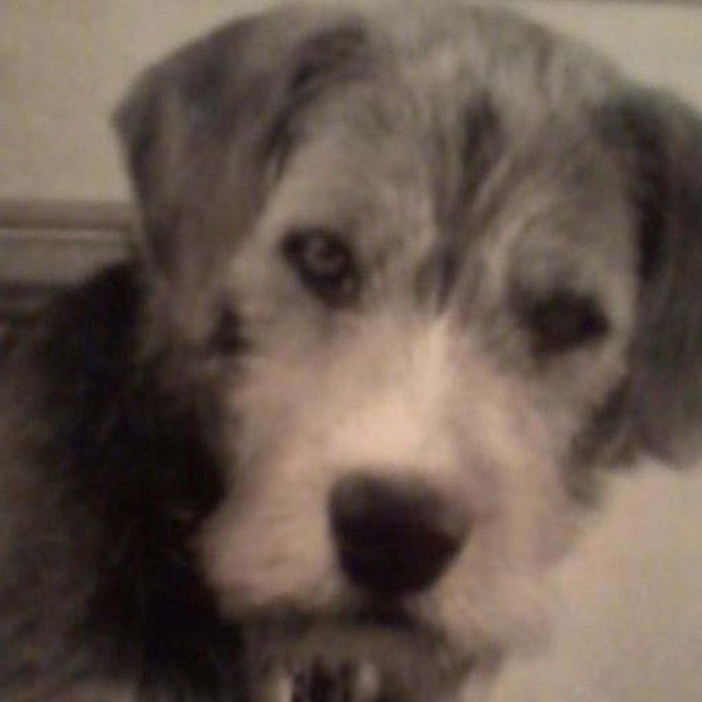 Meet your Posher, Shirlee